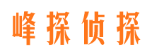 金山屯市私家侦探